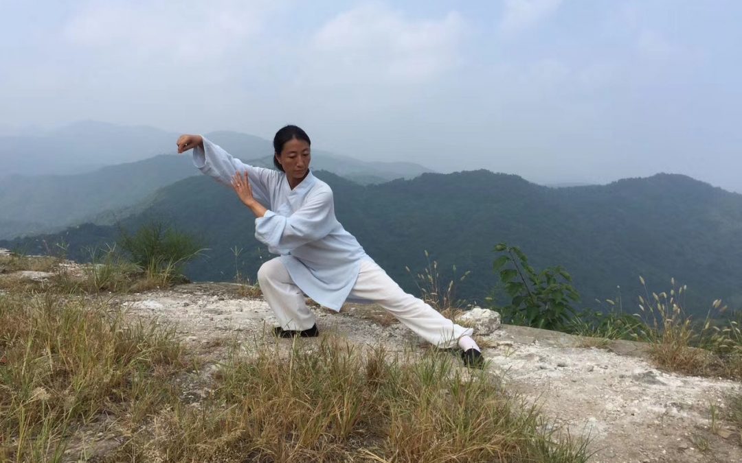 Cours de Taijiquan (Taichi) 太极拳