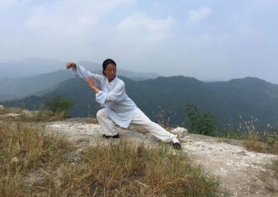 Cours de Taijiquan (Taichi) 太极拳