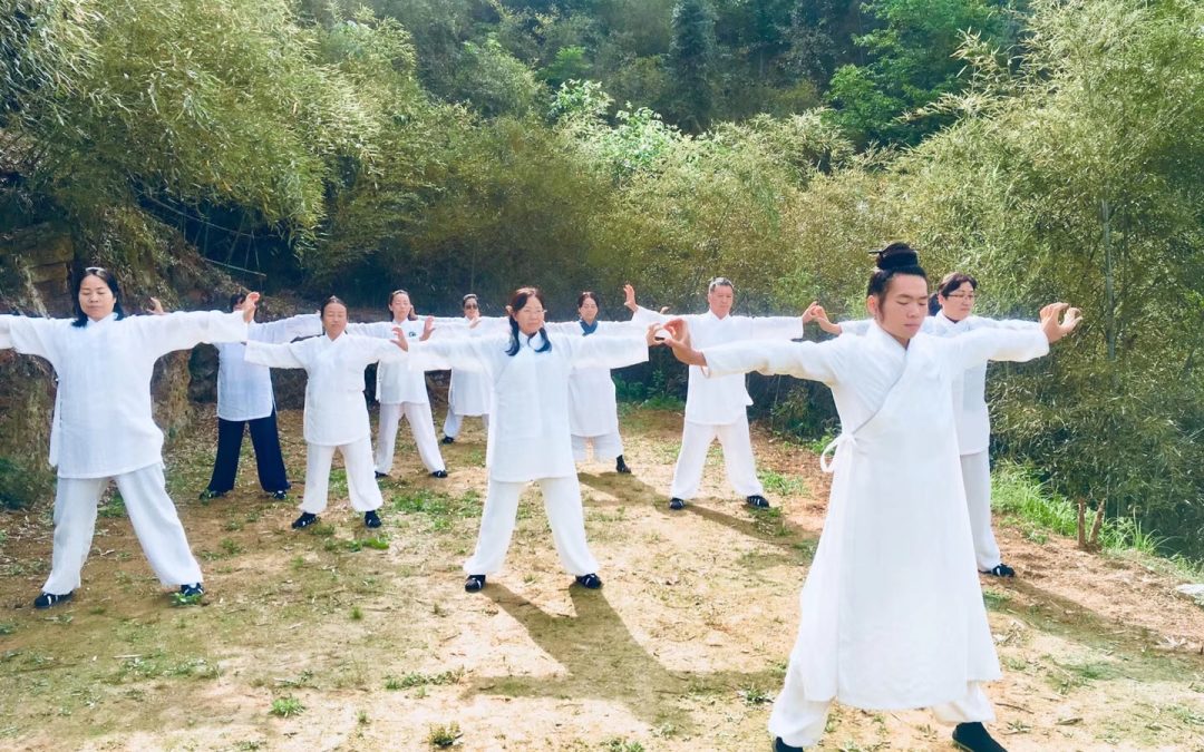 Cours de Qigong 气功 à Rennes