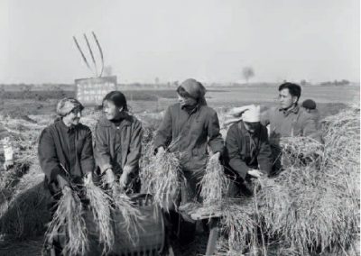 Cinquantenaire des relations sino-françaises