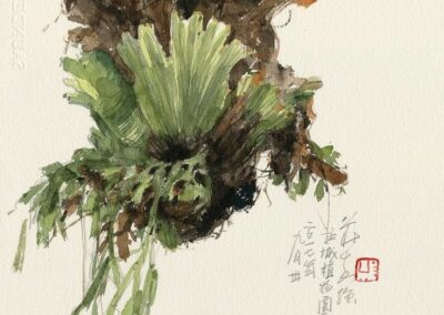 fleur5